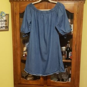 Speed Control blue jean dress